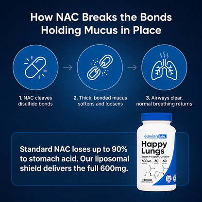 Liposomal NAC