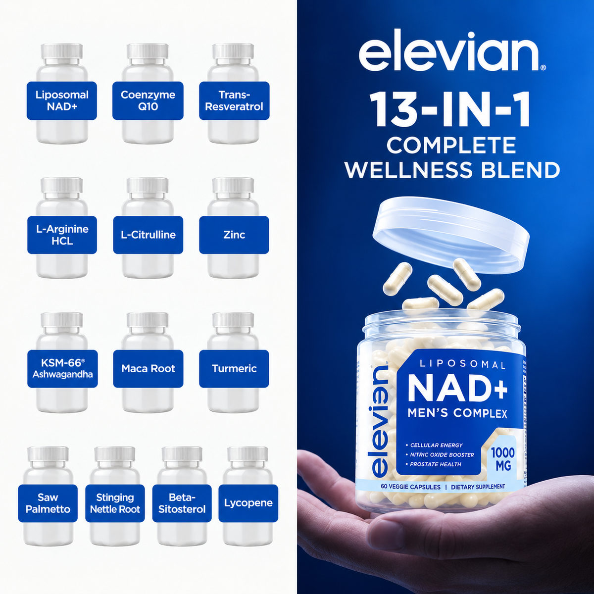 NAD+ COMPLEX