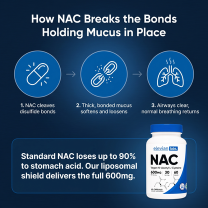 Liposomal NAC