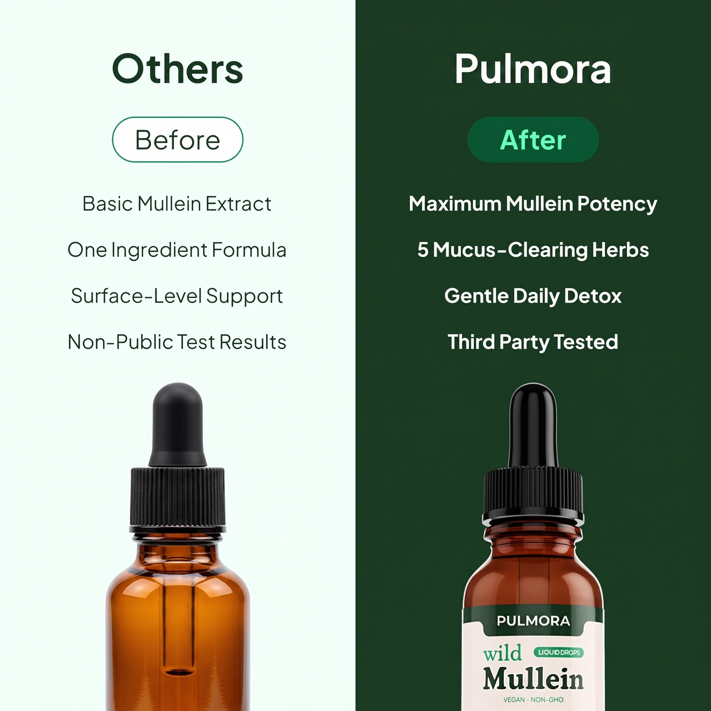 Pulmora - Mullein Drops