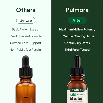 Pulmora - Mullein Drops